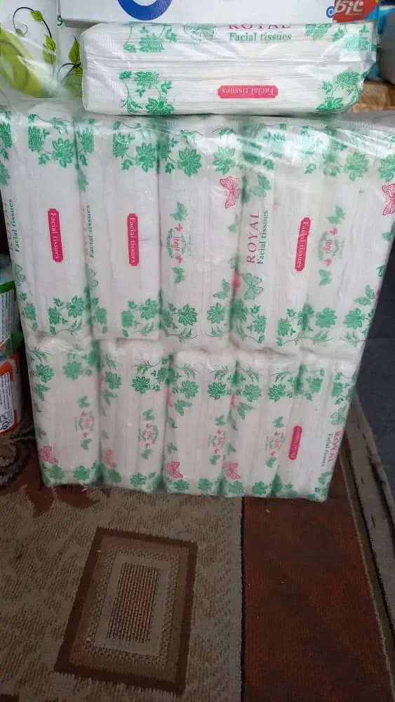 دستمال کاغذی پک ده تایی|مواد شوینده و دستمال کاغذی|کوهدشت, |دیوار