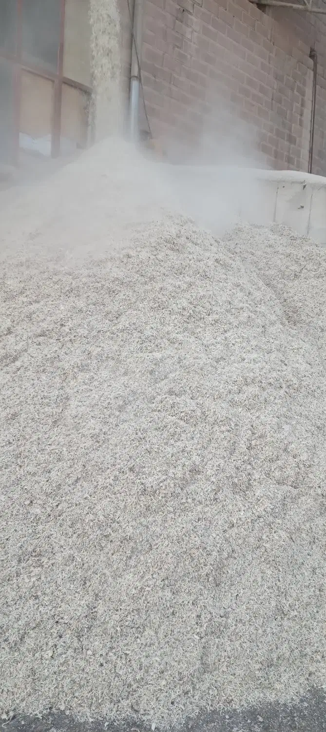 تفاله چغندر|خدمات باغبانی و درختکاری|قره ضیاالدین, |دیوار