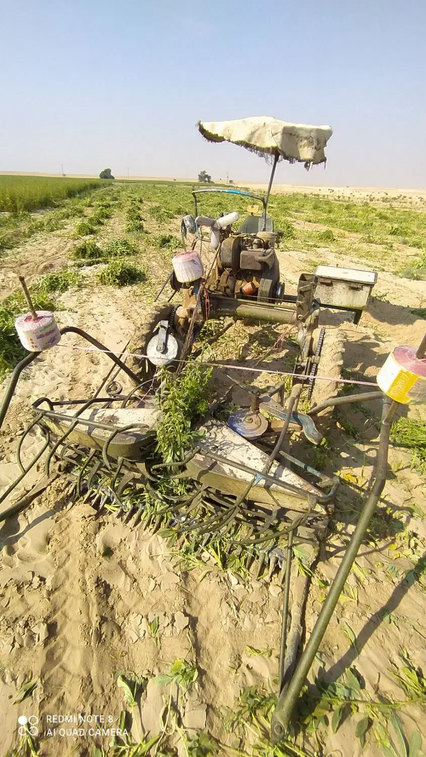 دروگر کنجد|ماشینآلات صنعتی|باوی, |دیوار