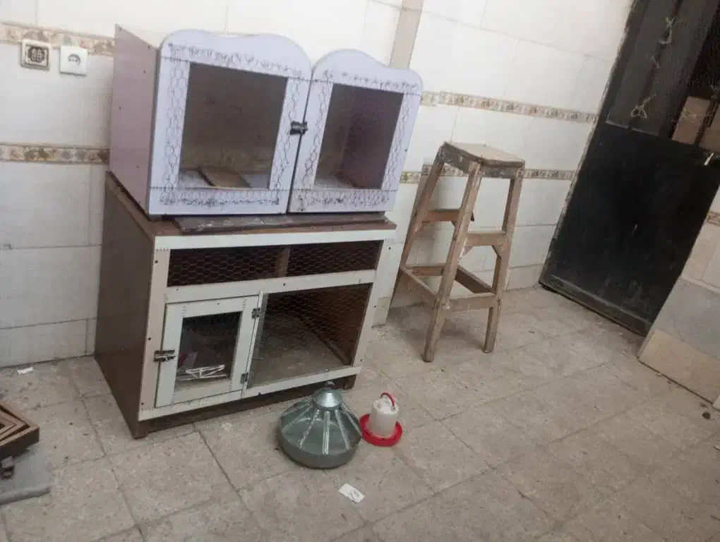 قفس پرنده و مرغ|لوازم جانبی حیوانات|مشکیندشت, |دیوار