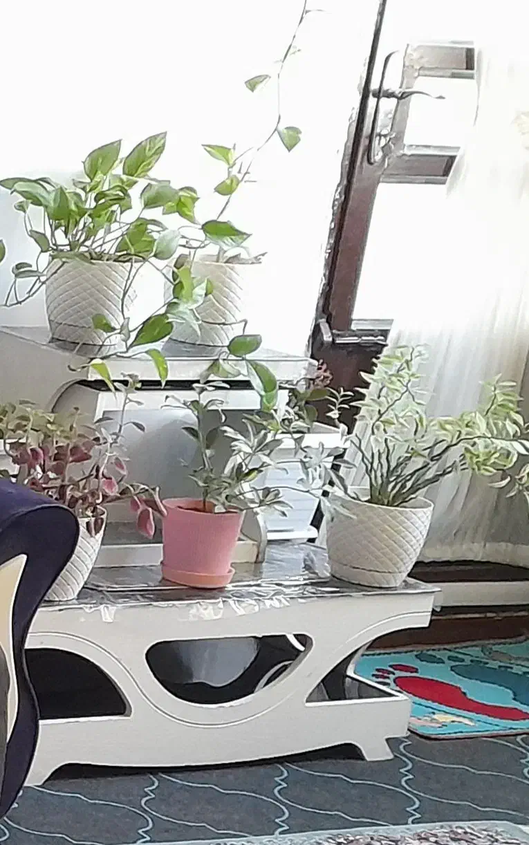 میز|مبلمان خانگی و میز عسلی|فسا, |دیوار