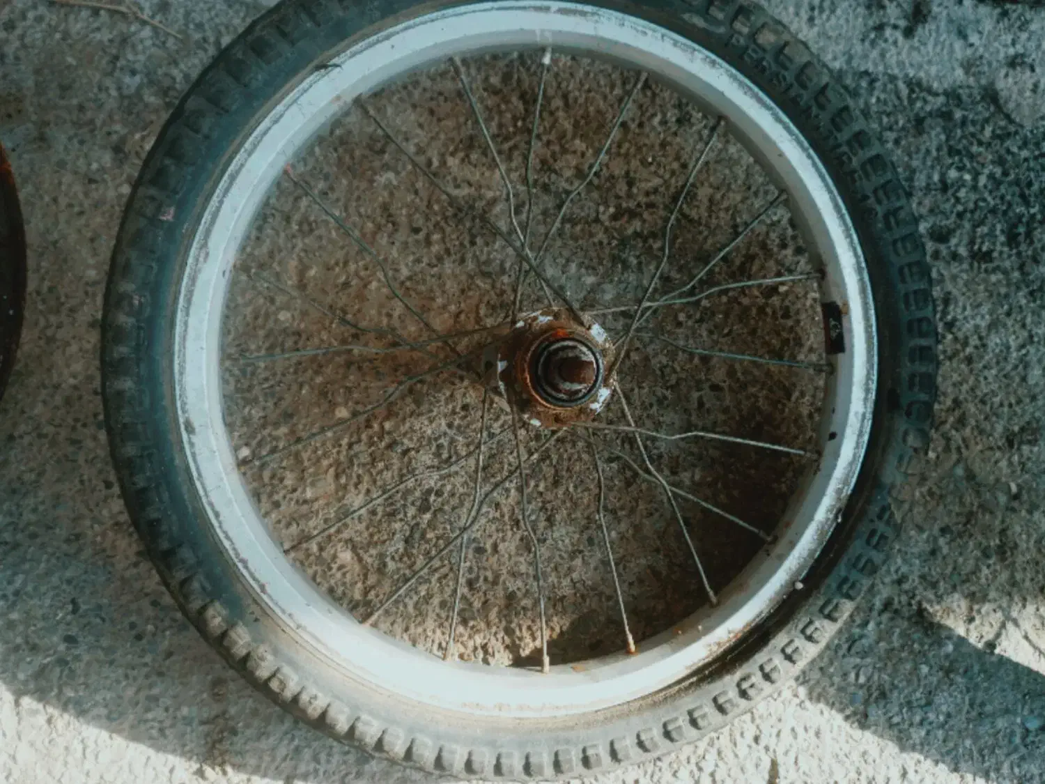 رینگ|حراج|خان ببین, |دیوار