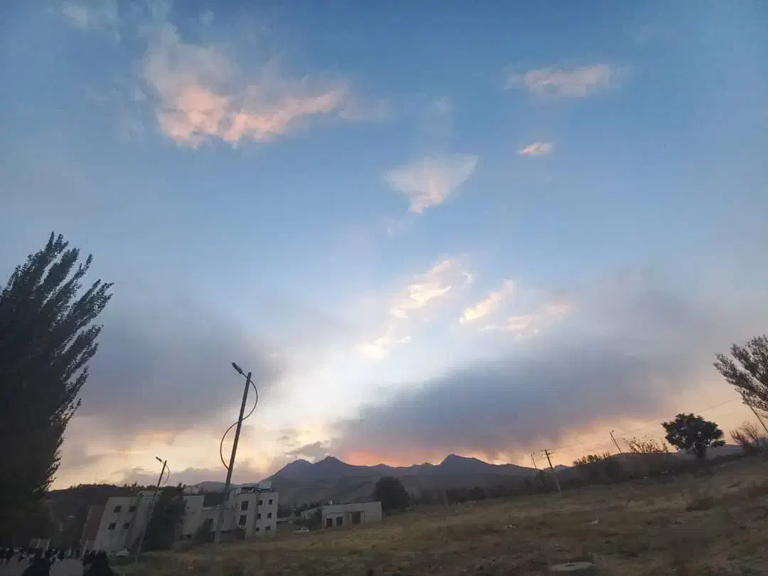 زمین کشاورزی|فروش دفتر صنعتی، کشاورزی، تجاری|خاو و میرآباد, |دیوار