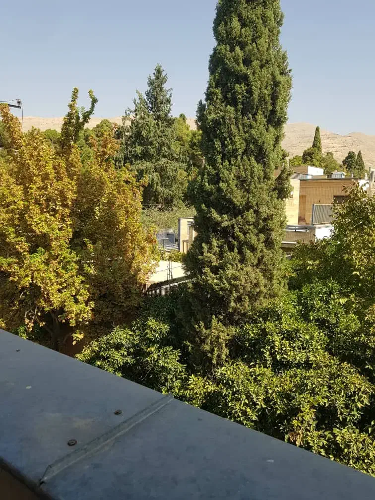 ۴ خواب / ارم / رهن و اجاره|اجارهٔ آپارتمان|شیراز, ارم|دیوار