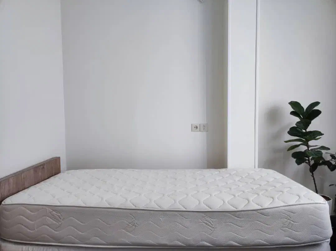 تشک رویا ۳|تشک تختخواب|کرمان, |دیوار