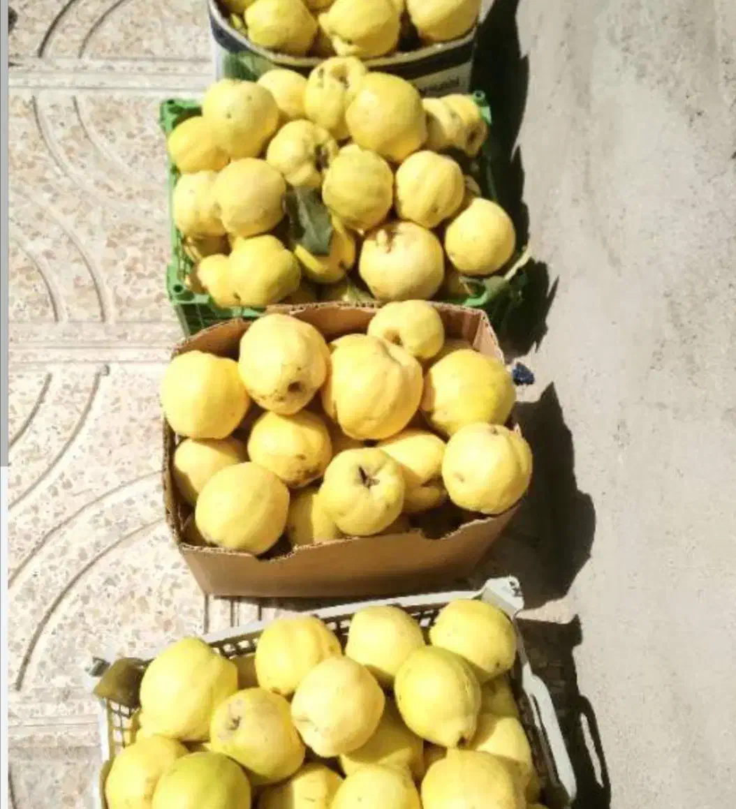 به محلی خوش عطر و شیرین|خوردنی و آشامیدنی|نجفآباد, شهدای غربی|دیوار