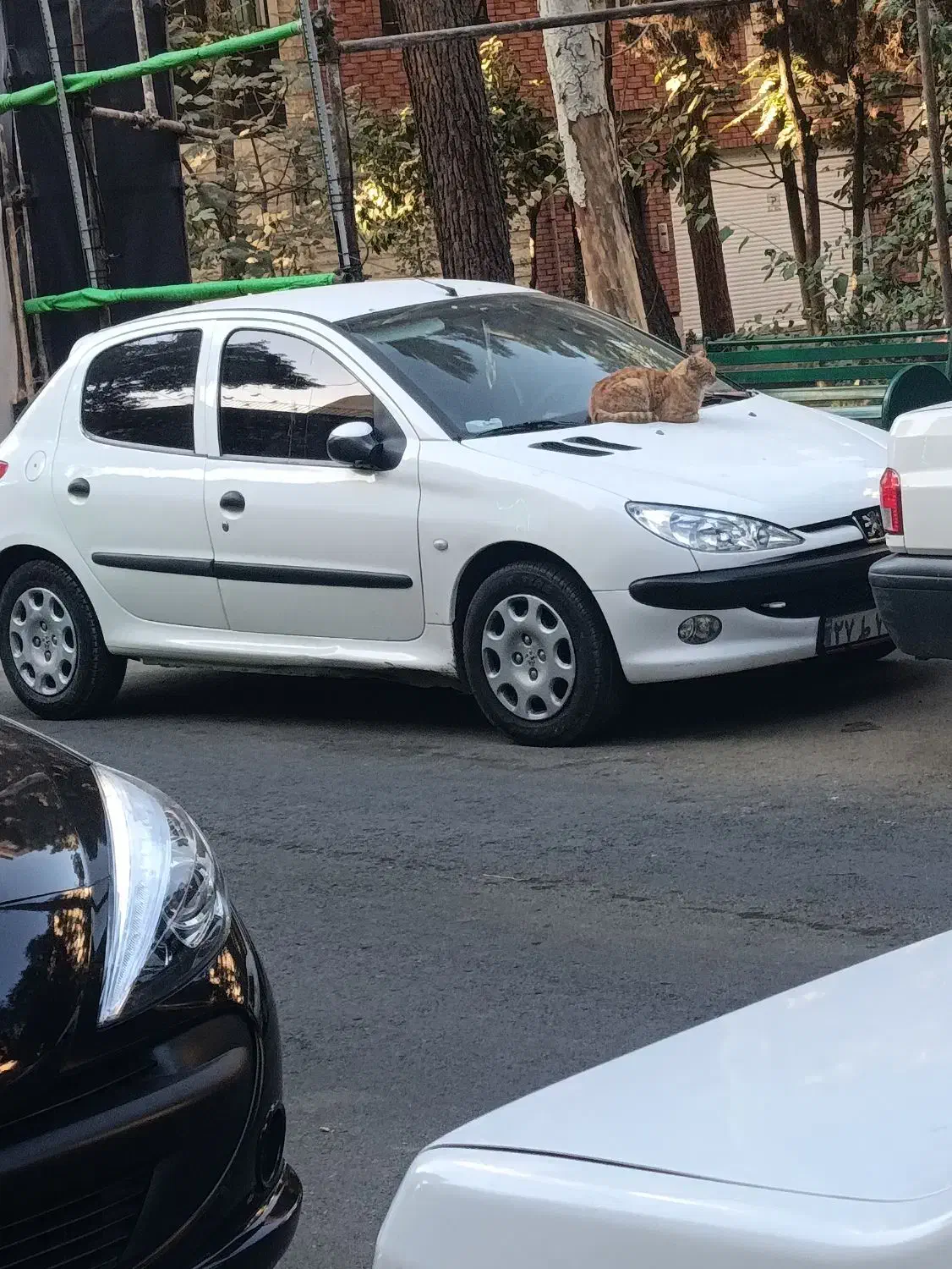 ۲۰۶|خودرو سواری و وانت|تهران, نازی‌آباد|دیوار