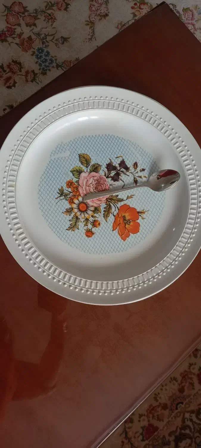 دیس ملامین بزرگ|ظروف سرو و پذیرایی|گرگان, |دیوار