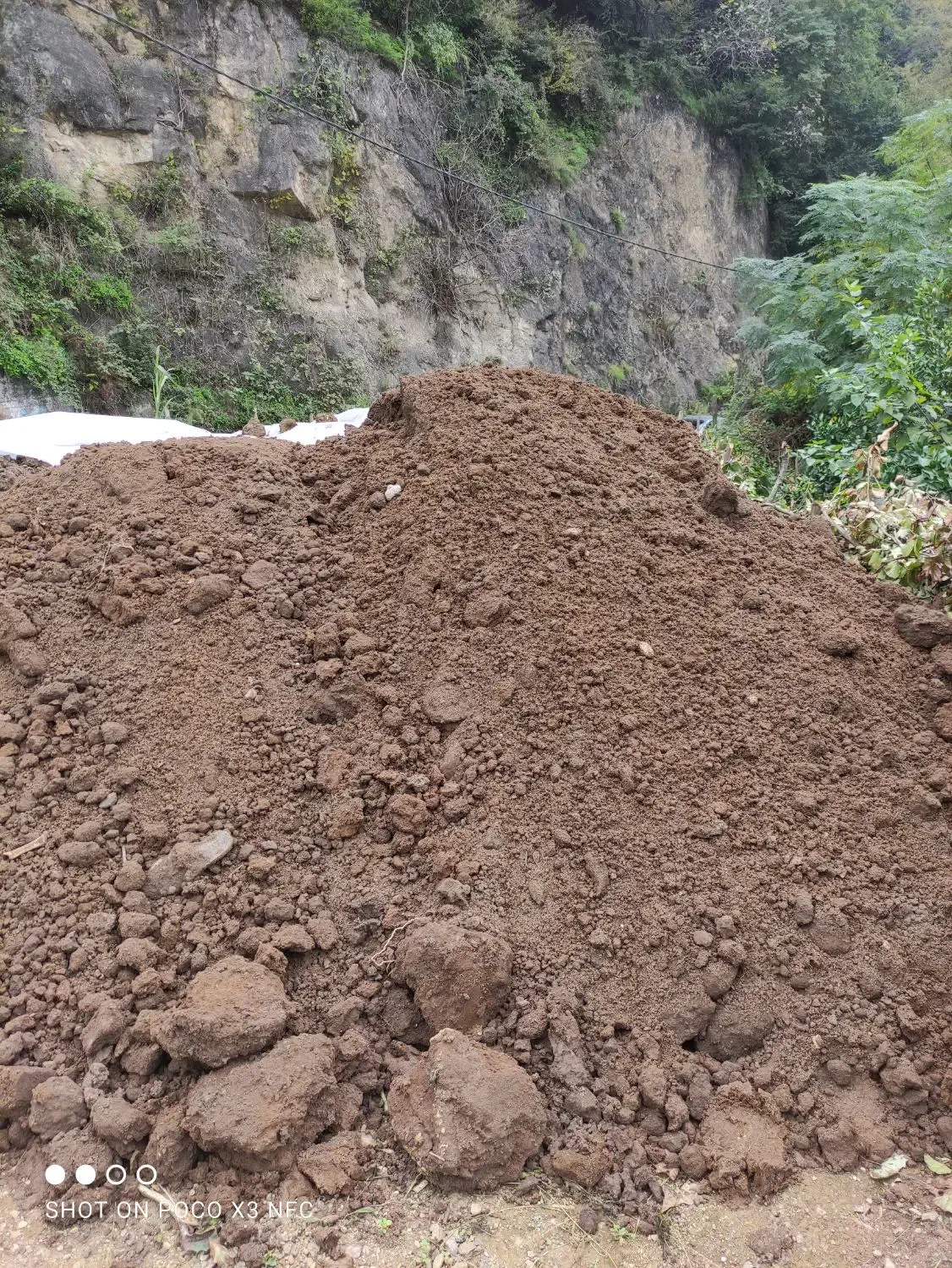 فروش کود ، خاک ، خاک برگ ،پوست بادام ، پوست برنج|خدمات باغبانی و درختکاری|رامسر, |دیوار