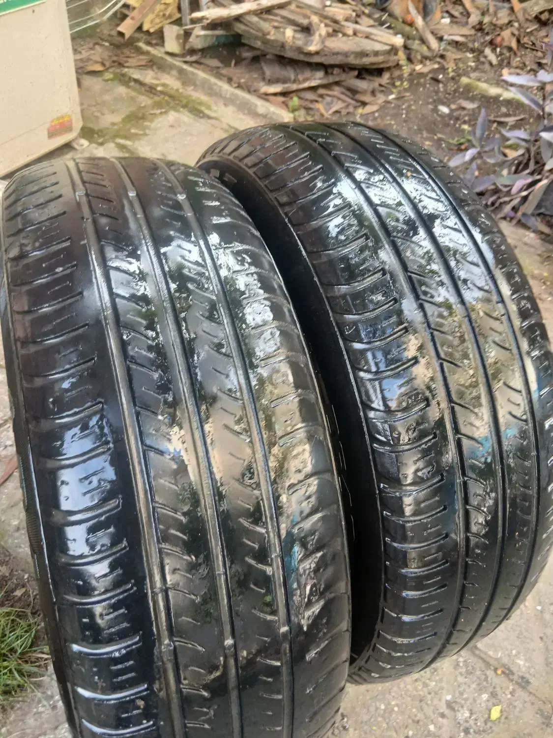 لاستیک سایز 15|قطعات یدکی و لوازم جانبی|رشت, چله خانه|دیوار