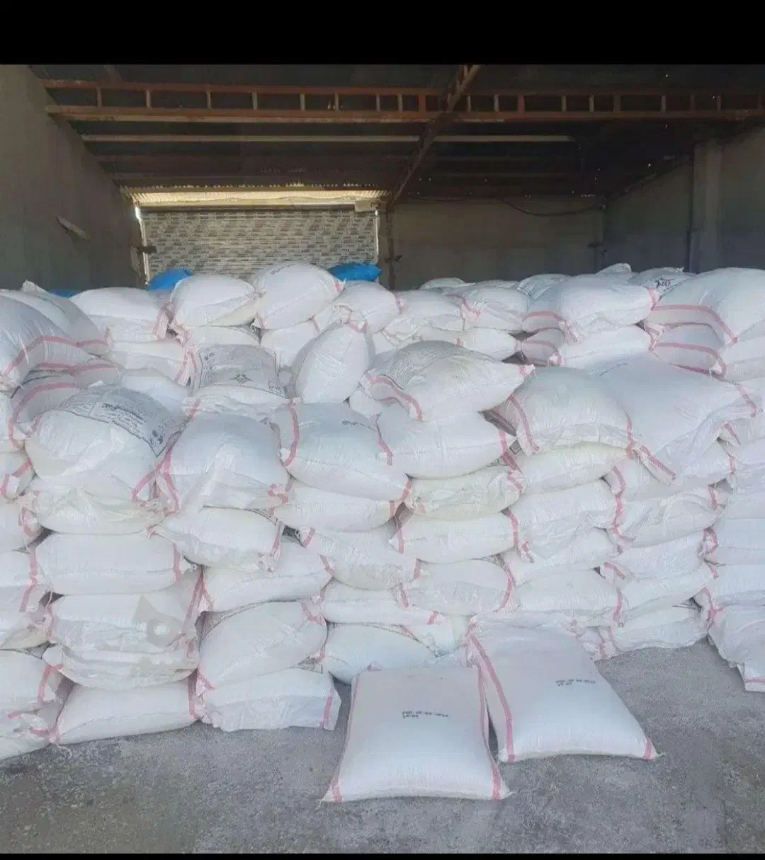 خریدار کود اوره سفید|خدمات باغبانی و درختکاری|سجاس رود, |دیوار