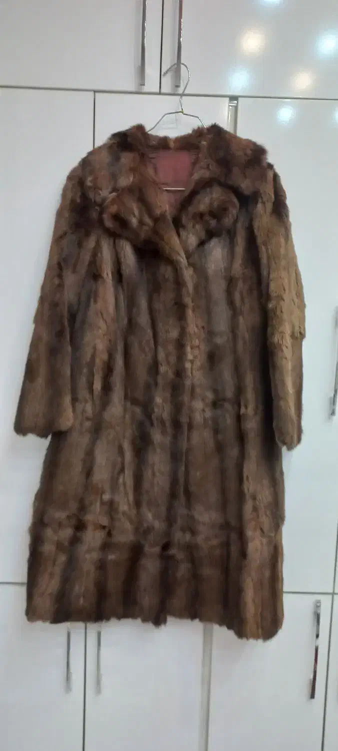 پالتو پوست|لباس|شیراز, شهدای شهرک سعدی|دیوار