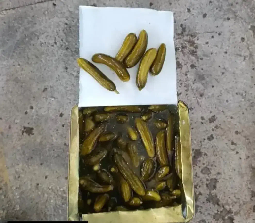 فروش خیار شور حلب، فله، بسته بندی|خوردنی و آشامیدنی|شیراز, کلاهدوز|دیوار