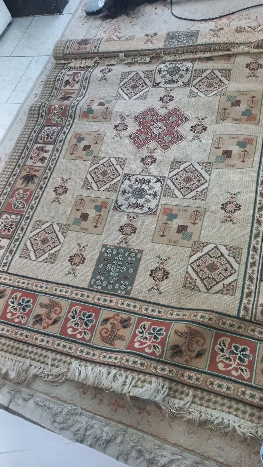 فرش|فرش|رشت, دیلمان|دیوار