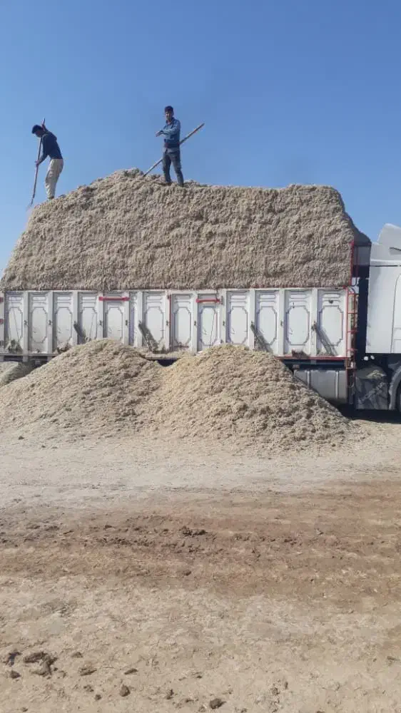 فروش باگاس یا کاه نیشکر جایگزین کامل کاه گندم|لوازم جانبی حیوانات|اصفهان, باغ فدک|دیوار