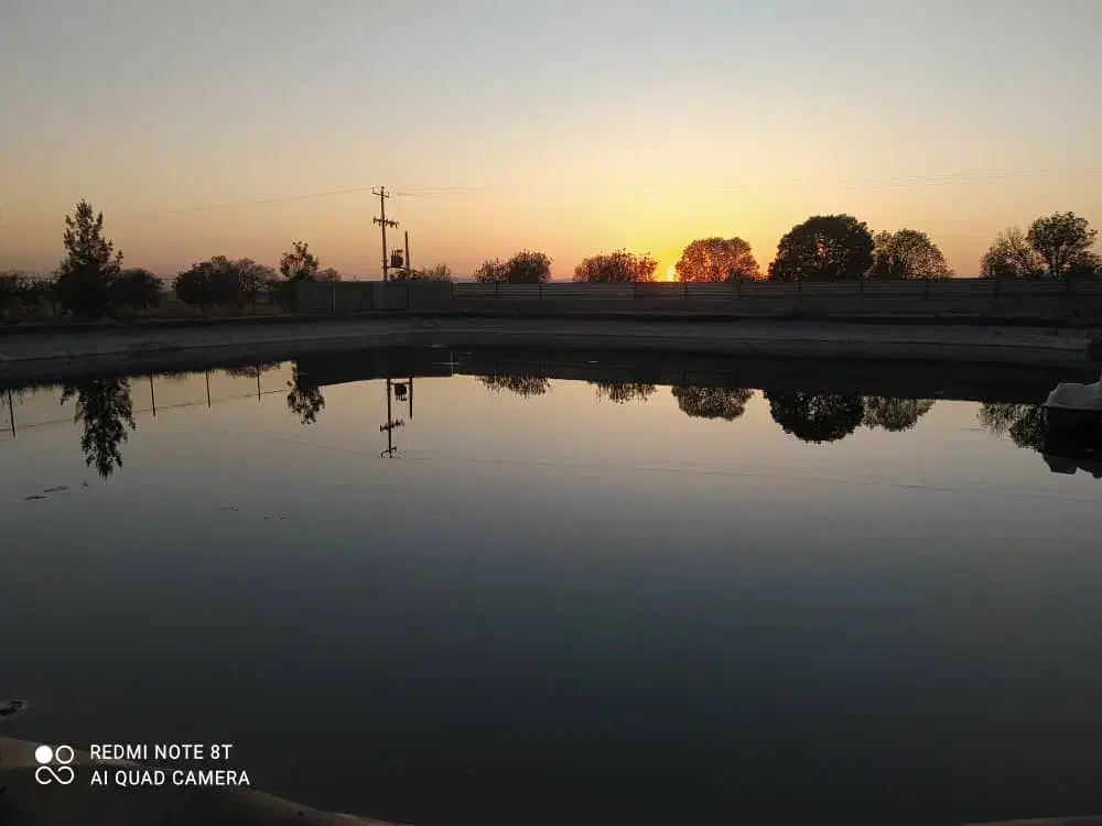 سرمایه گذاری صادرات|فعالیت داوطلبانه|مشهد, شهرک رازی (شهرک غرب)|دیوار