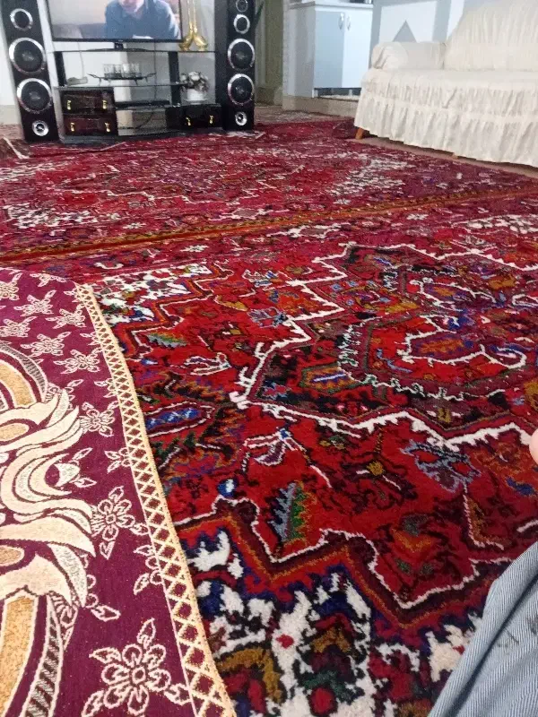 فرش|فرش|عجب شیر, |دیوار