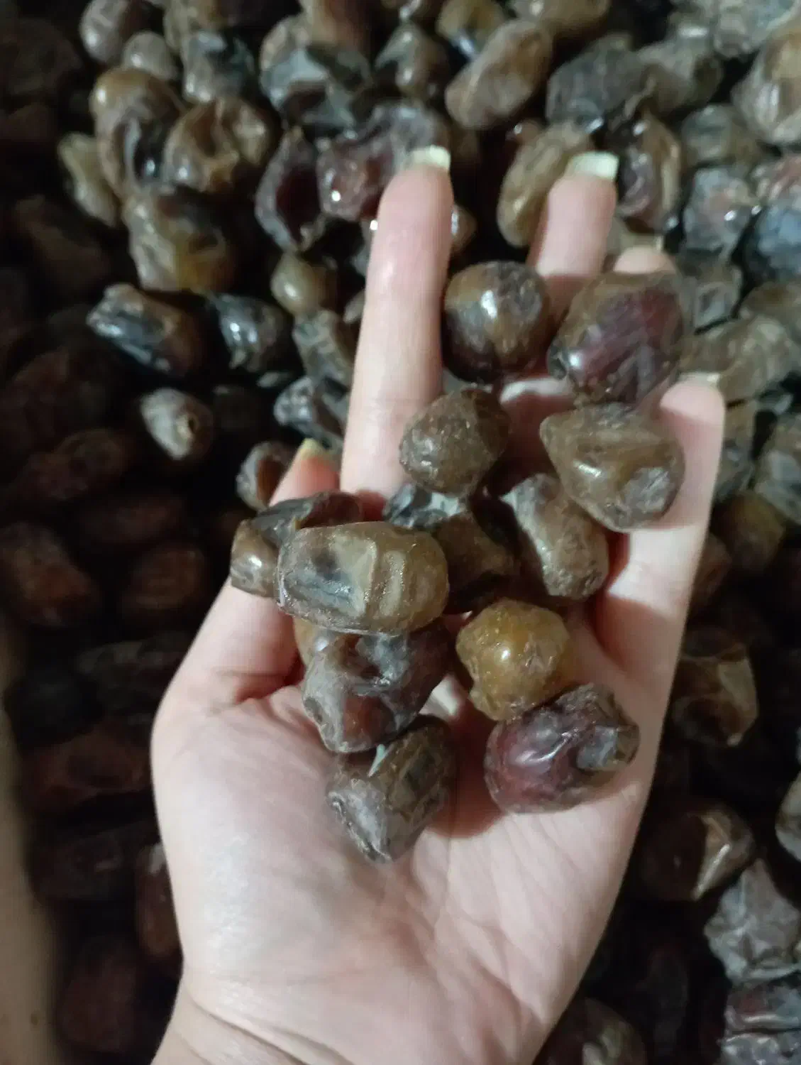 خرما|خوردنی و آشامیدنی|اهواز, منازل کارون|دیوار