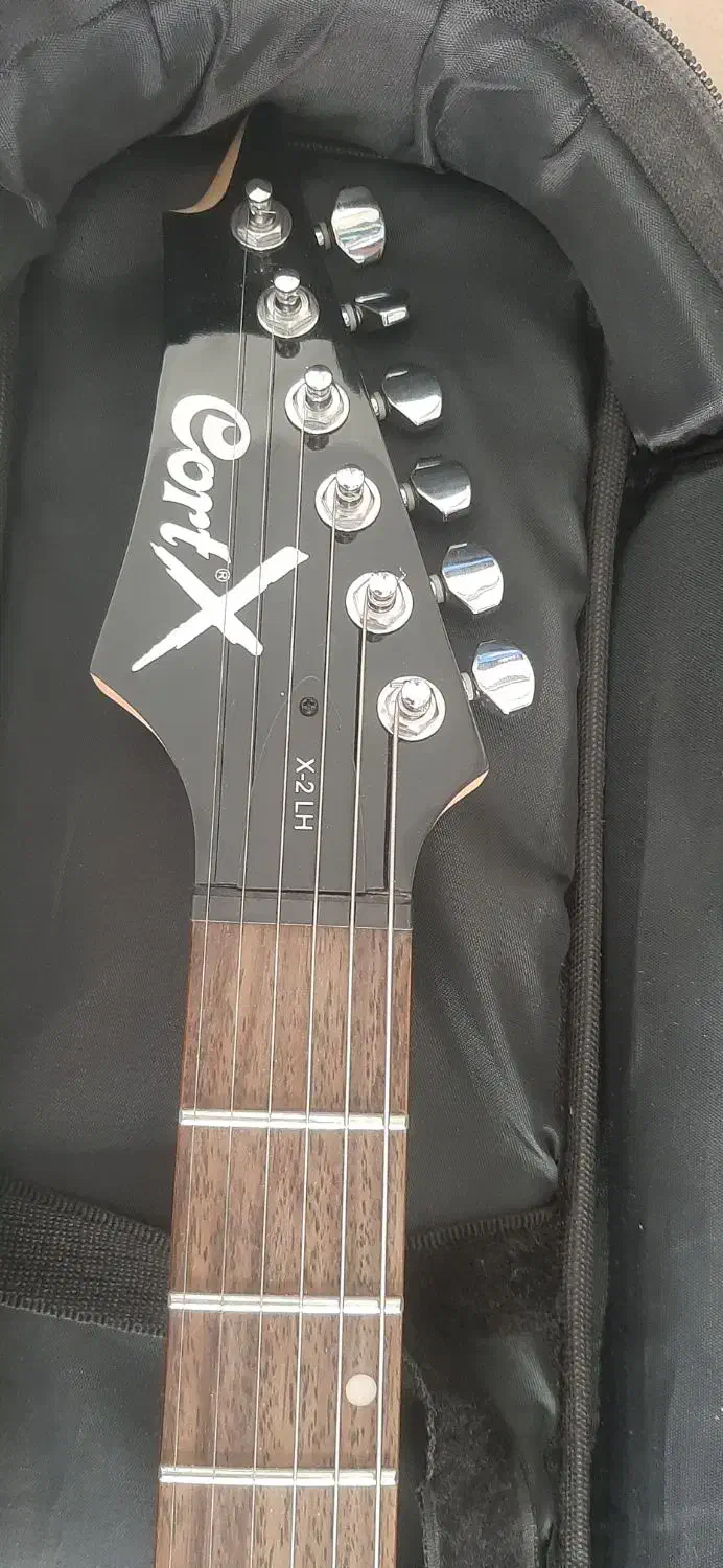 گیتار الکتریک کورت چپ|گیتار، بیس، امپلیفایر|رباط‌کریم, رباط‌کریم|دیوار