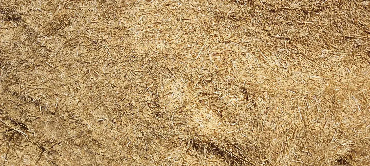کاه گندم کردستان|حیوانات مزرعه|ساری, |دیوار
