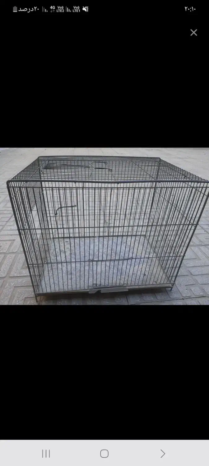 قفس|لوازم جانبی حیوانات|یزد, |دیوار