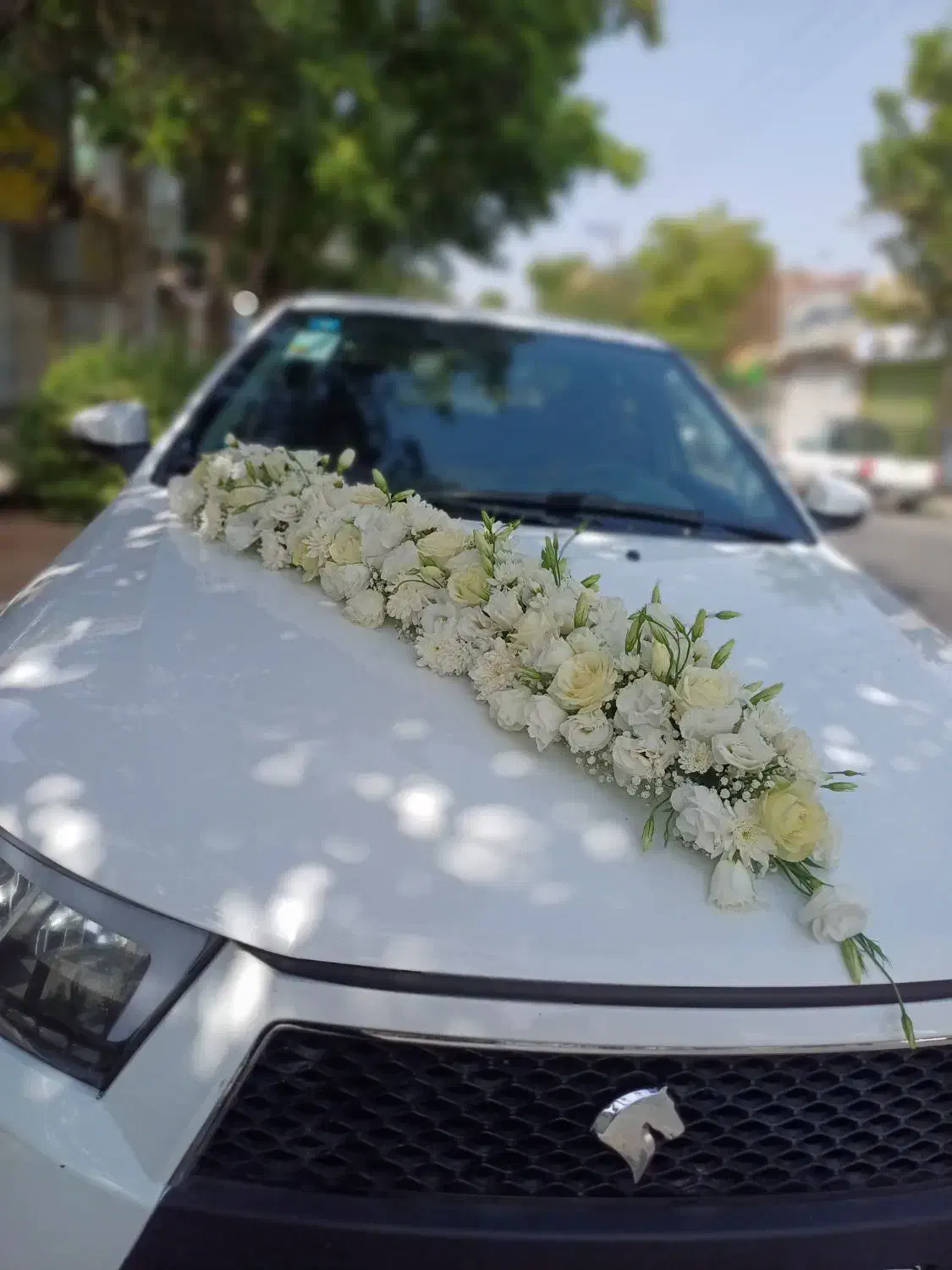 ماشین عروس|گل و گیاه طبیعی|مشهد, رده|دیوار