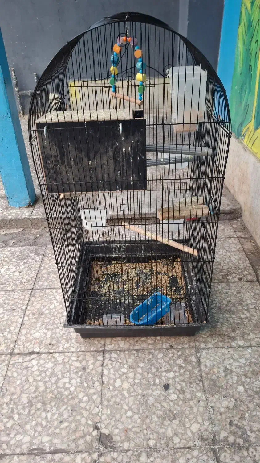 قفس طوطی|لوازم جانبی حیوانات|قم, هنرستان|دیوار
