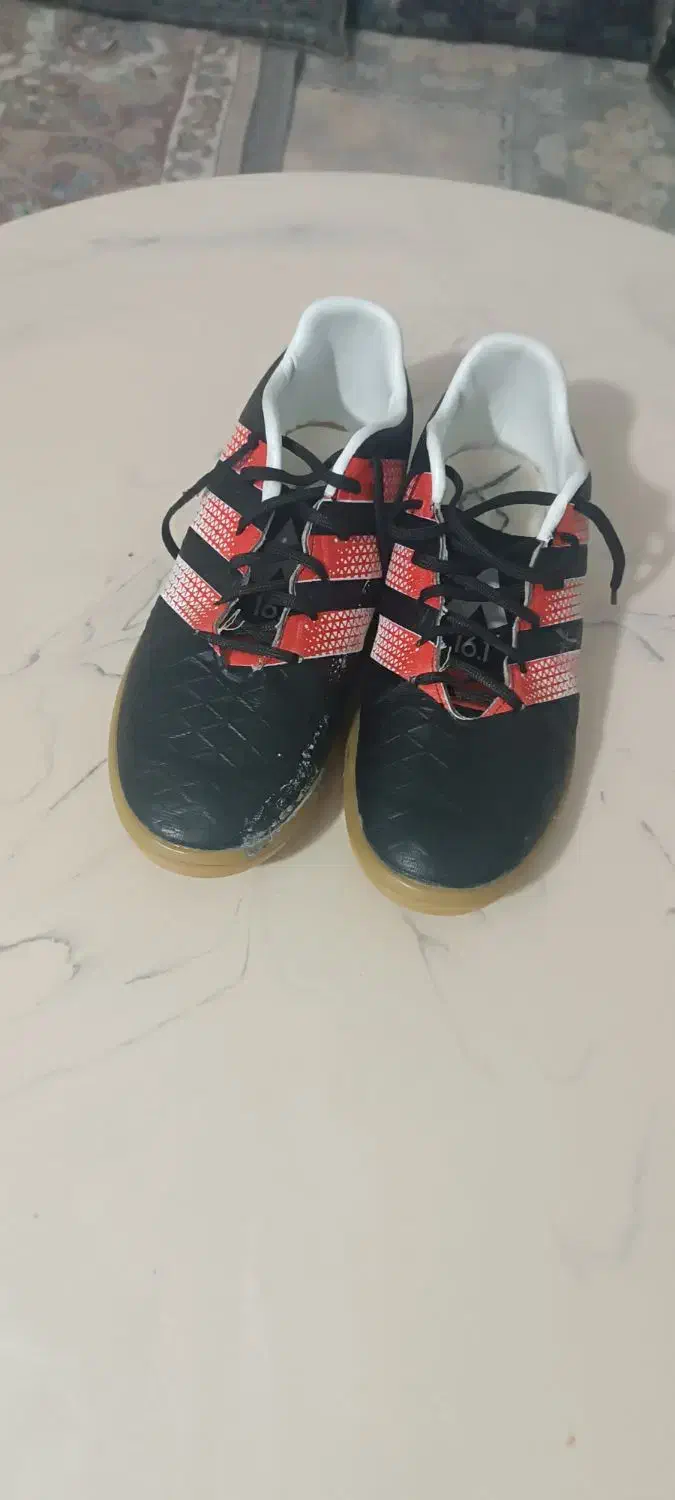 کفش سالنی|کیف، کفش، کمربند|مشهد, کلاته برفی|دیوار