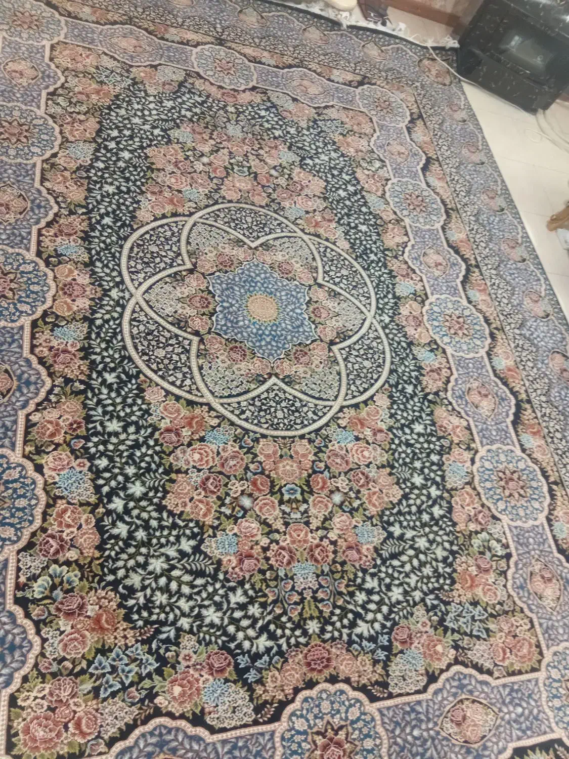 دو عدد قالی 12 متری خاطره کاشان درجه یک 700 شانه|فرش|مشهد, فلسطین|دیوار