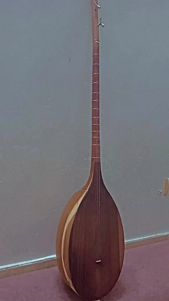 دوتار ترکمنی|سازهای سنتی|گنبد کاووس, |دیوار