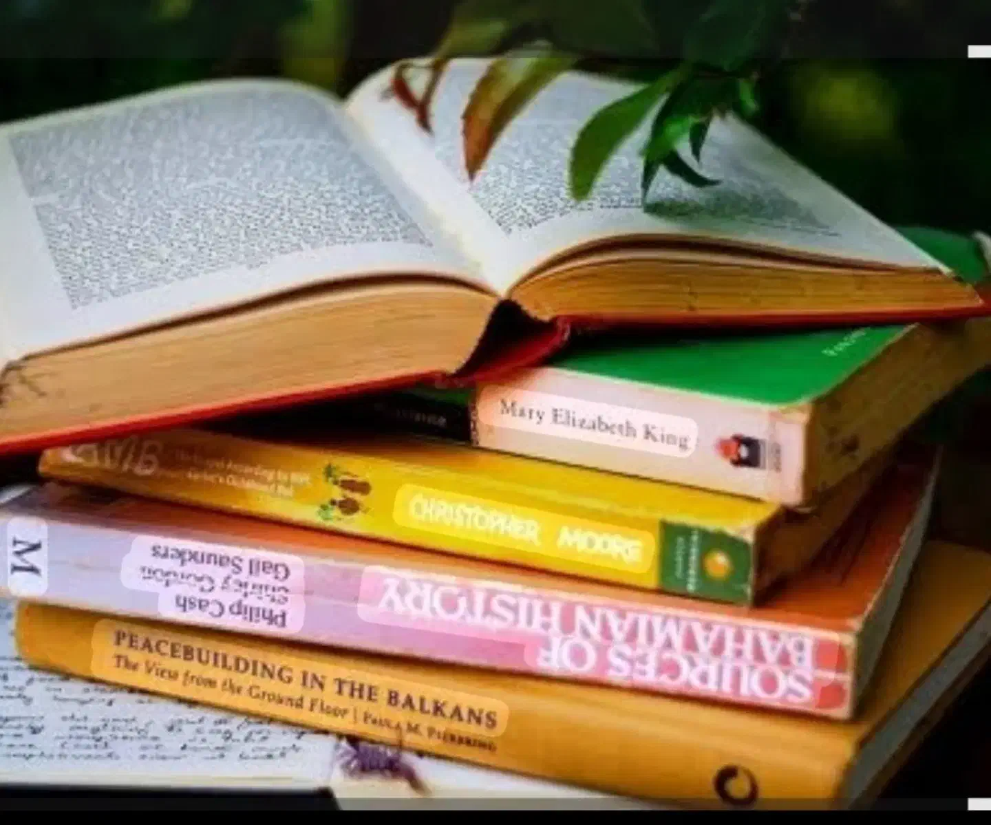 خریدار کتاب و کاغذ باطله درب منزل|عمدهفروشی|سیرجان, |دیوار