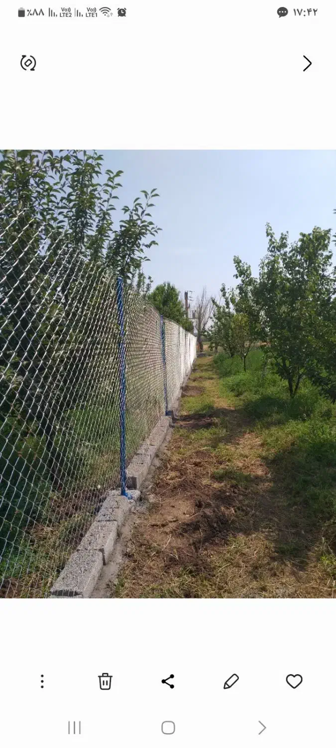 باغ نقلی ۵۴۵ متر باسند تک برگ نیم دانگ|فروش زمین و ملک کلنگی|ایواوغلی, |دیوار