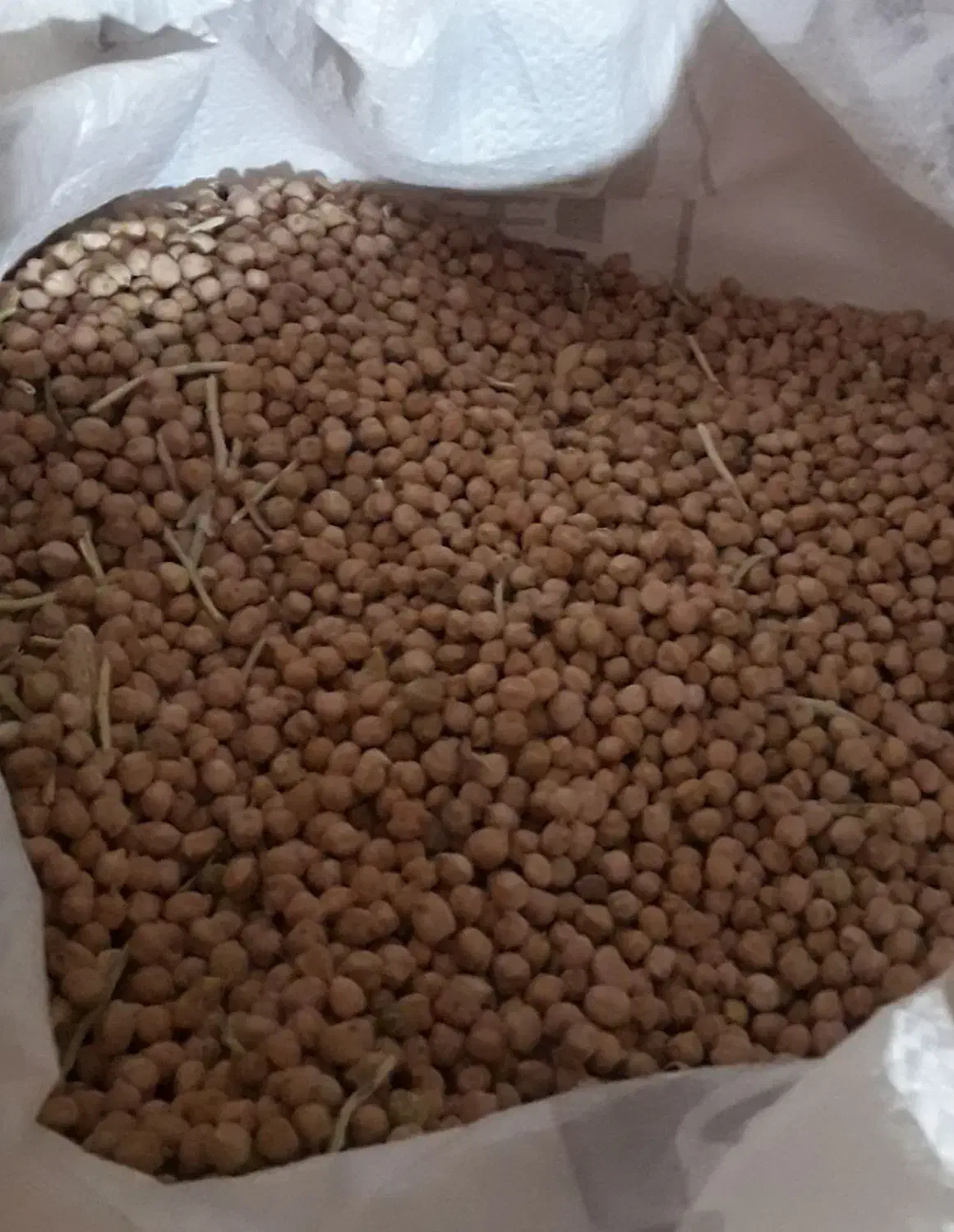 نخود محلی|عمده‌فروشی|گرمخان, |دیوار