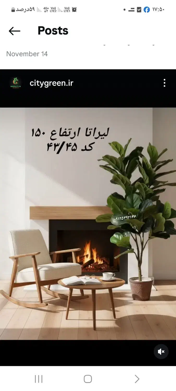 پخش درخت مصنوعی|گل مصنوعی|کرج, شهرک بنفشه|دیوار