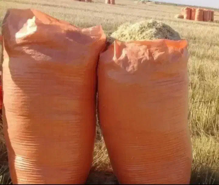 کاه گندم|خدمات باغبانی و درختکاری|جلگه ماژان, |دیوار