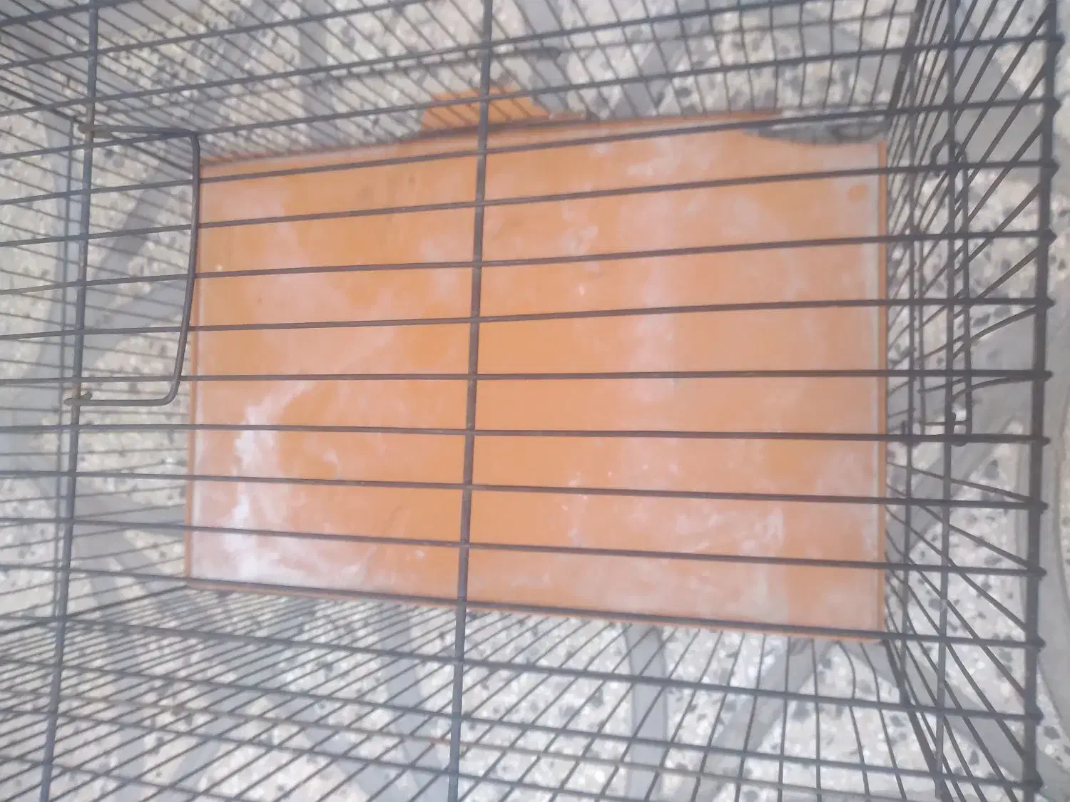 قفس|لوازم جانبی حیوانات|مشکیندشت, |دیوار