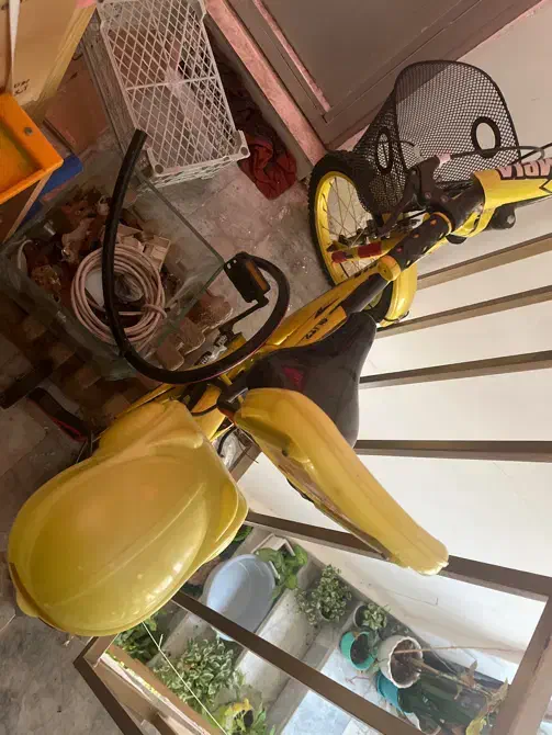 دوچرخه المپیا|دوچرخه، اسکیت، اسکوتر|رشت, آب آسیاب|دیوار