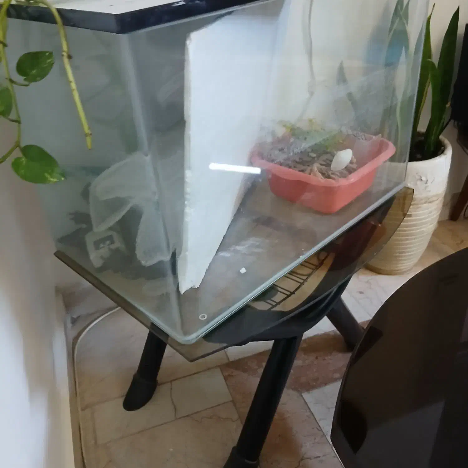 آکواریم 30×50|ماهی|تهران, جوادیه تهرانپارس|دیوار