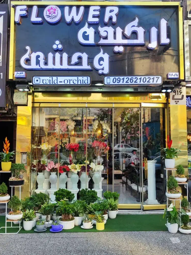 استخدام خانم آشنا به سایت فروشگاه واینستا|استخدام رایانه و فناوری اطلاعات|تهران, صادقیه|دیوار