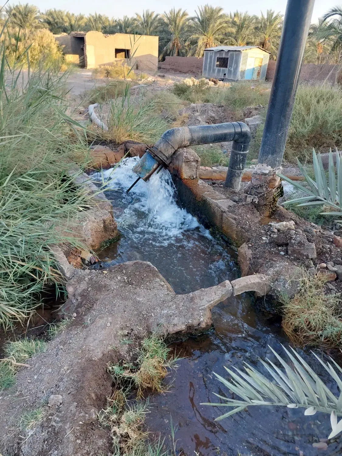 آب کشاورزی ازموتور|خدمات باغبانی و درختکاری|بم, |دیوار