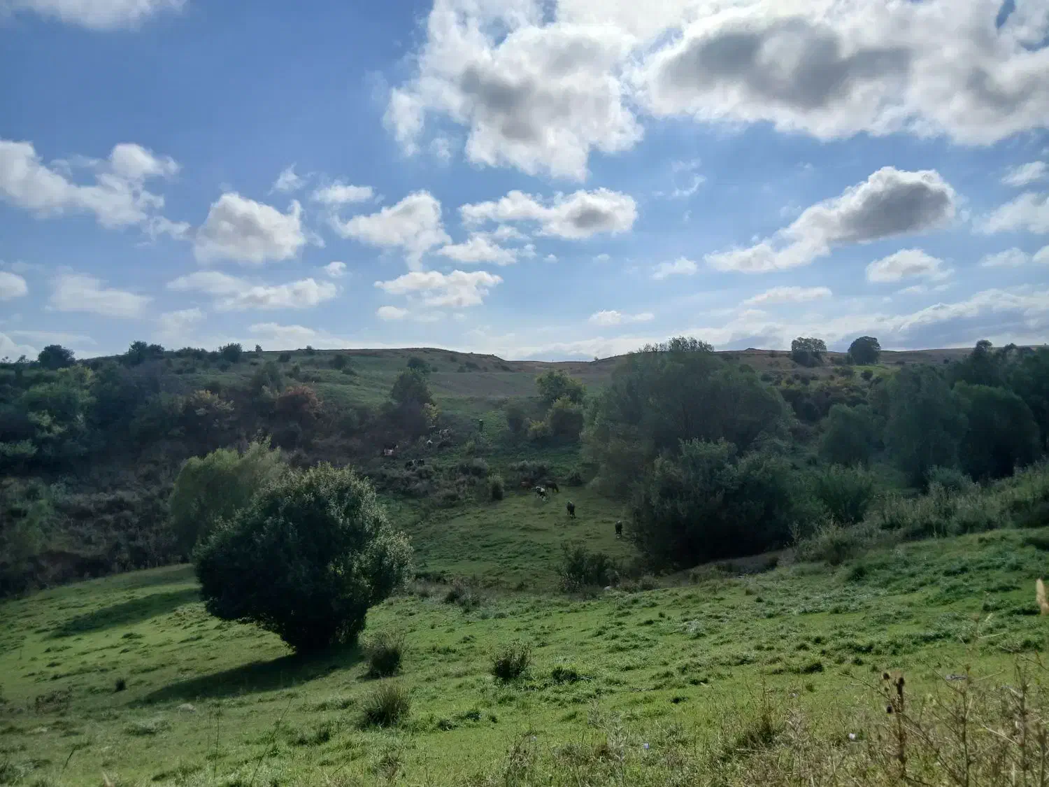 مصالح|مصالح و تجهیزات ساختمان|تهران, شهرک استقلال|دیوار