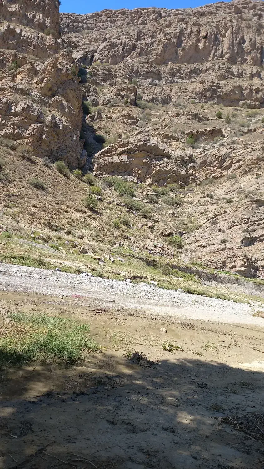 خریدار تاکسی|فعالیت داوطلبانه|قوچان, |دیوار