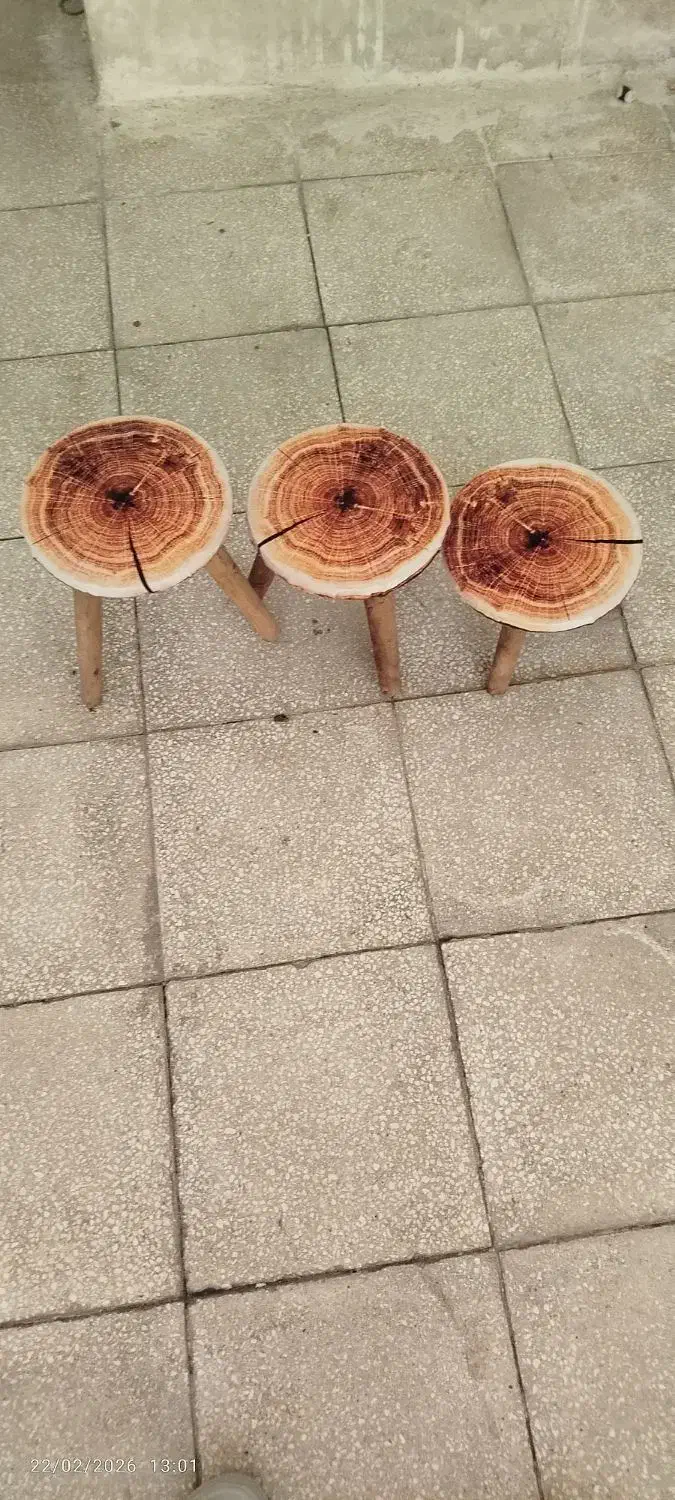 زیر گلدانی|صندلی و نیمکت|سبزوار, قاضی زاد|دیوار