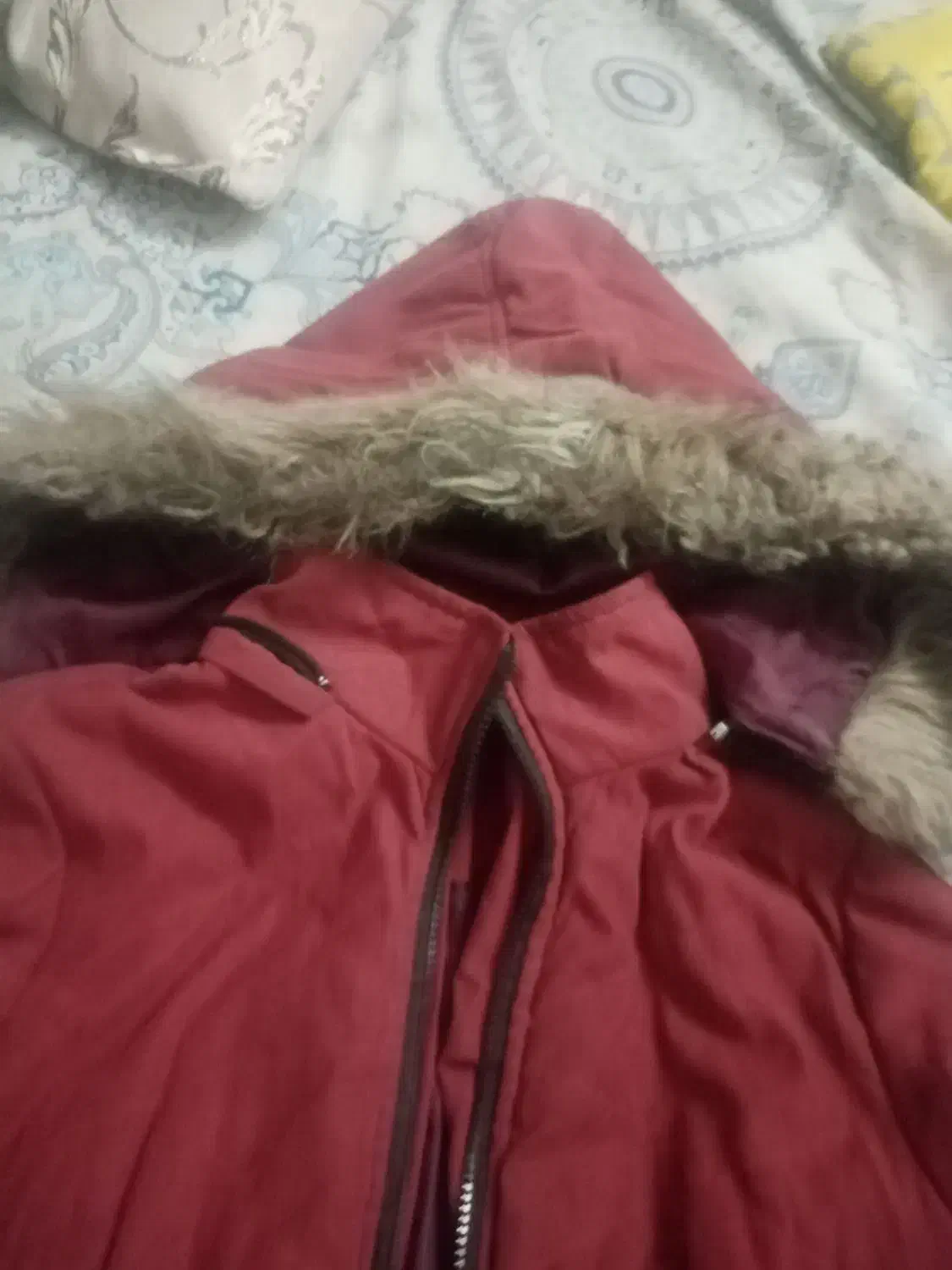 کاپشن دخترانه زرشکی|لباس|سبزوار, عظیمیان|دیوار