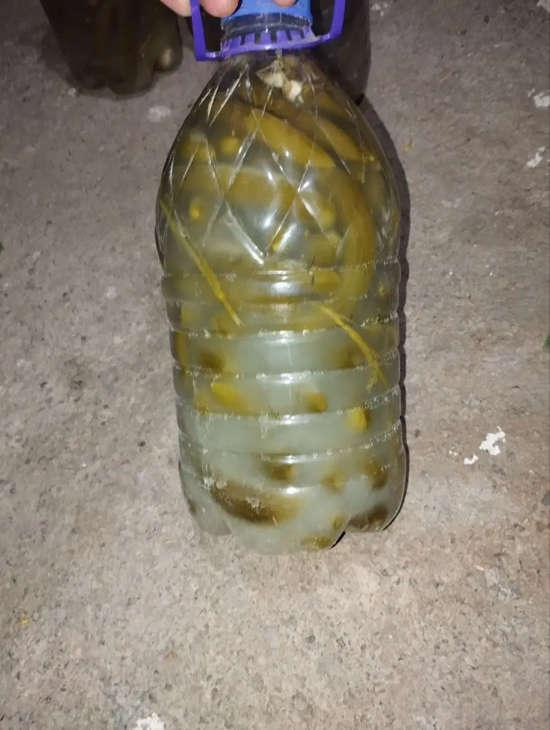 خیارشور ریز|عمده‌فروشی|چورزق, |دیوار