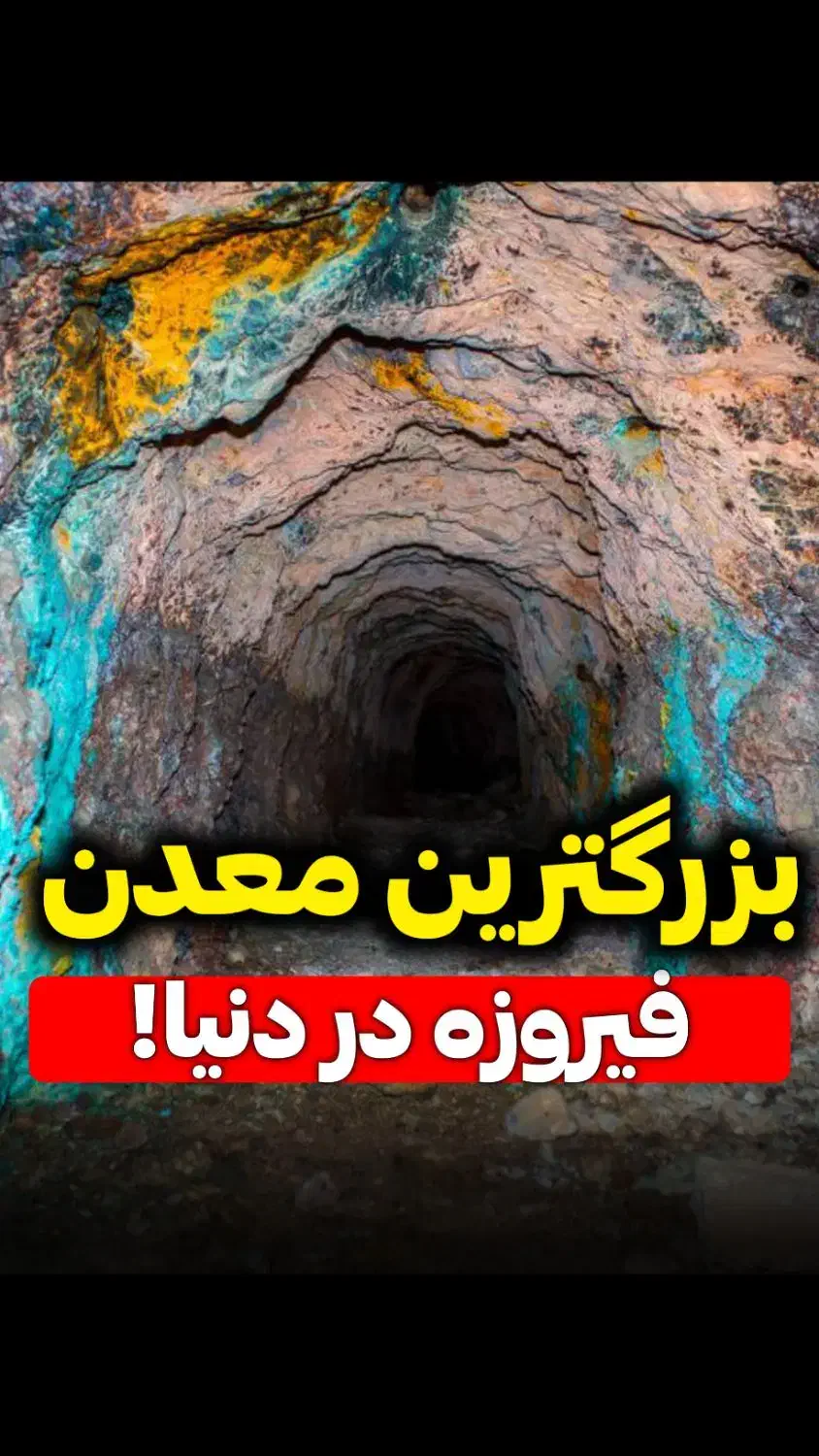 ادمین و ادیتور و طراح هستم سابقه بالا|خدمات رایانهای و موبایل|بوشهر, |دیوار