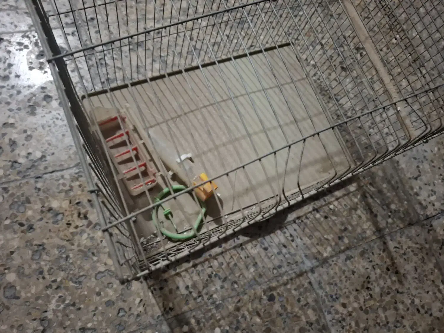 قفس بزرگ|لوازم جانبی حیوانات|دوگنبدان, |دیوار