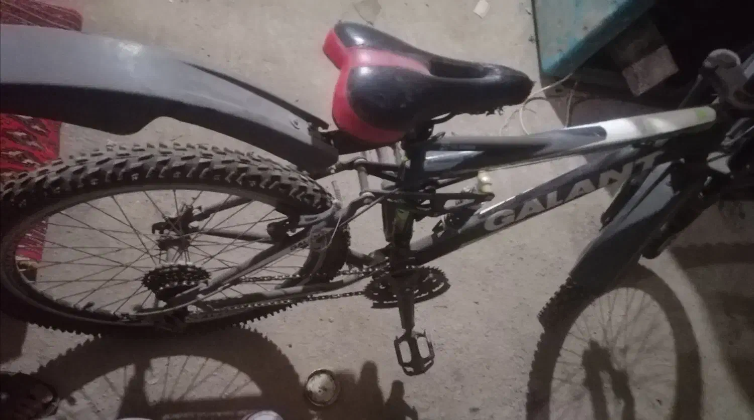 دوچرخه 24 مارک گلنت|دوچرخه، اسکیت، اسکوتر|نیشابور, رحمت آباد|دیوار