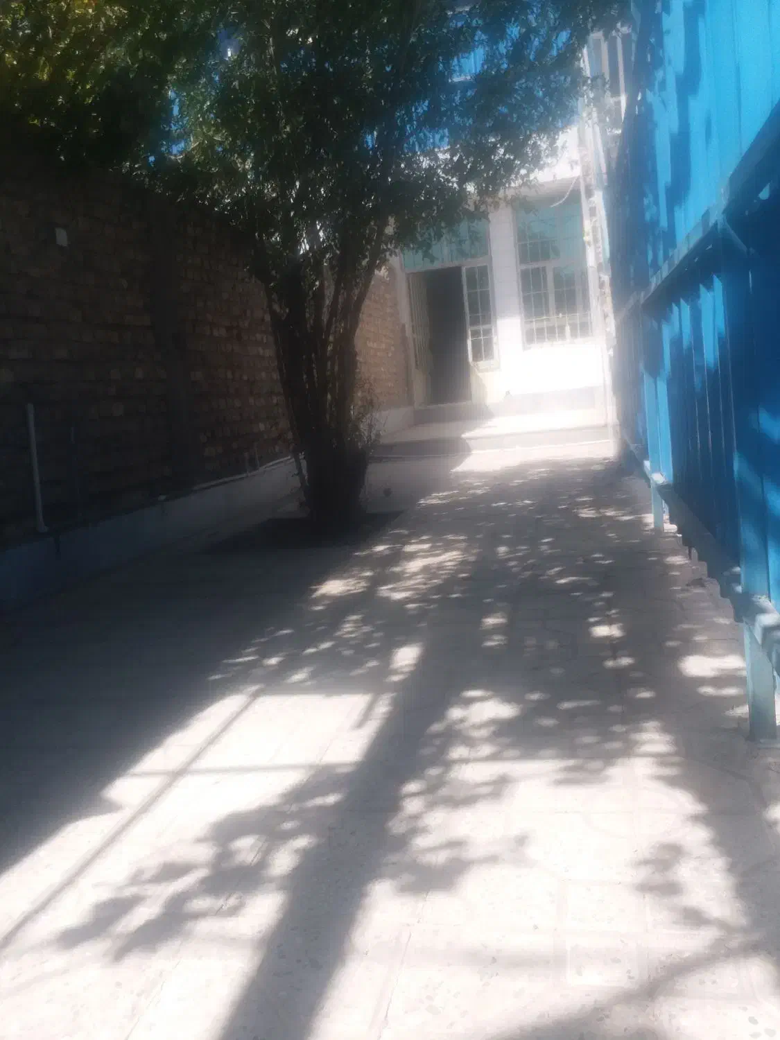 همکف|اجارهٔ آپارتمان|کرمان, |دیوار