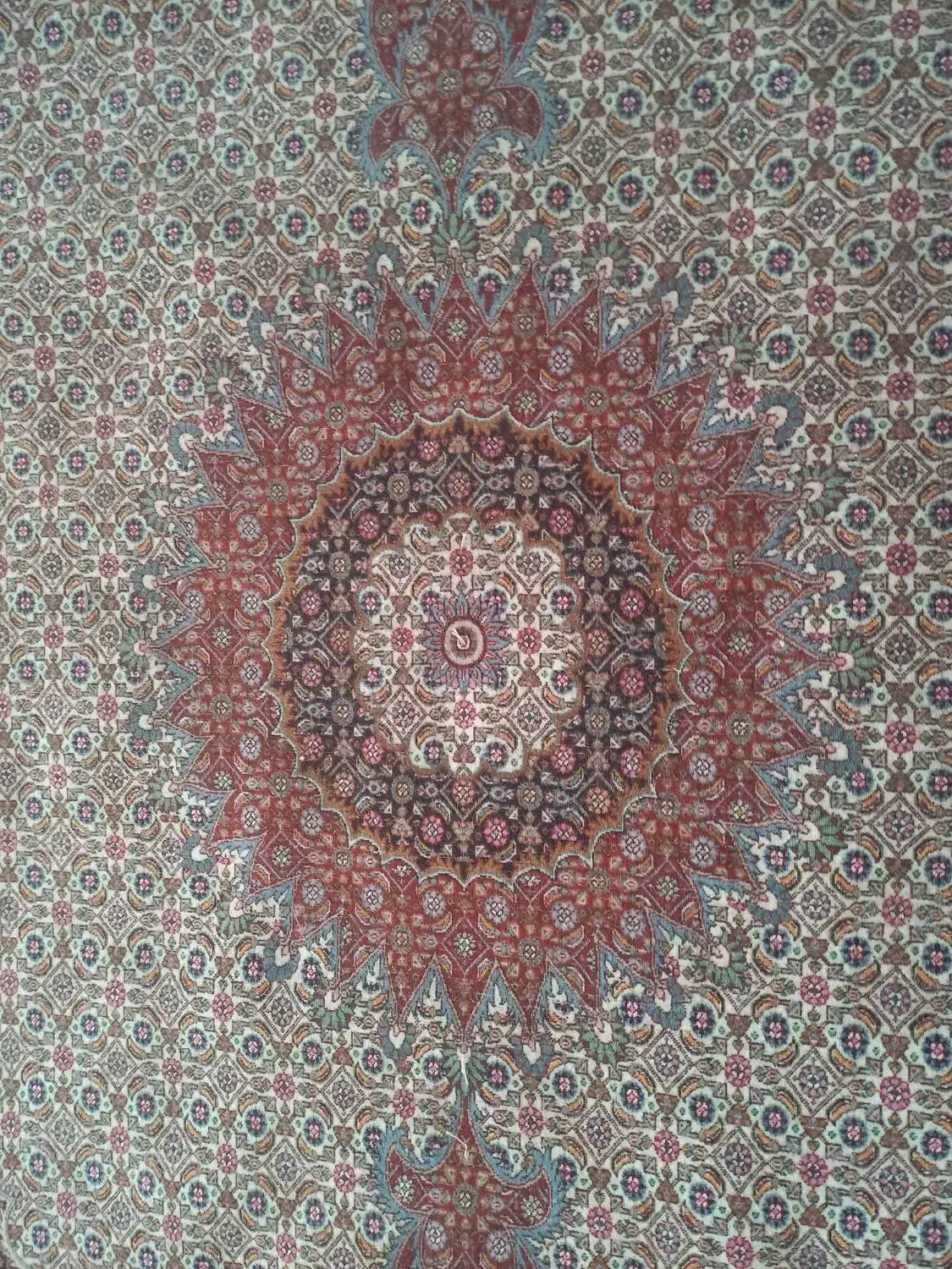 فرش دستبافت 6متری|فرش|بیرجند, |دیوار